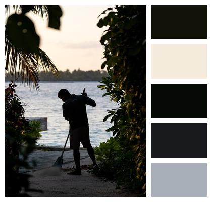 Island Life Cleaner Gardener Leaves Nature Palm Tree Raking Image